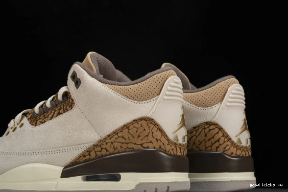 Retro Jordan  CT8532-102 CT8532-102 Palomino  3 0401